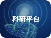 福利姬